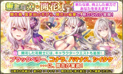 ꡼ No.007 | FLOWER KNIGHT GIRLס٥ȡķơ񥨥å졼ɳ