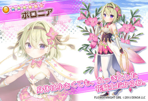 ꡼ No.006 | FLOWER KNIGHT GIRLס٥ȡƳΤޤˤޤˡɤ򳫺