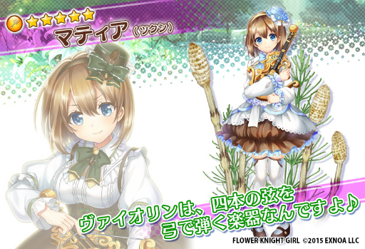 ꡼ No.005Υͥ / FLOWER KNIGHT GIRLסܥ٥ȡؤΥեˡɳ