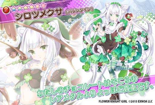 ꡼ No.007 | FLOWER KNIGHT GIRLץåץǡȡ٥ȡȤۤˤХ󥿥ɳ