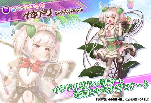 ꡼ No.008 | FLOWER KNIGHT GIRLץåץǡȡ٥ȡȤۤˤХ󥿥ɳ