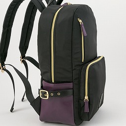 ���������꡼ No.004�Υ���ͥ������ / �֤��󤵤�֤륹���������פΥ�˥åȤ򥤥᡼���������å��ȥߥ˺��ۤ�ͽ����դ򳫻�