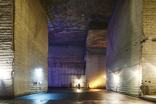 ꡼ No.004 | ֤󤵤֤륹סڸëۤ2024ǯ4ܤ˥ܡХॷ꡼TRIPALKALOIDȯ䵭ǰ