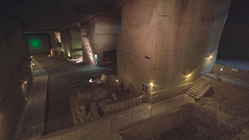 ꡼ No.005 | ֤󤵤֤륹סڸëۤ2024ǯ4ܤ˥ܡХॷ꡼TRIPALKALOIDȯ䵭ǰ