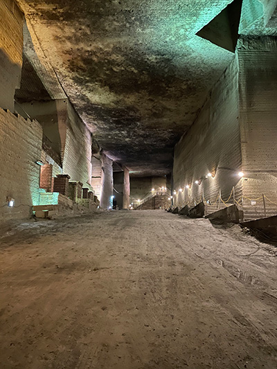 ꡼ No.006 | ֤󤵤֤륹סڸëۤ2024ǯ4ܤ˥ܡХॷ꡼TRIPALKALOIDȯ䵭ǰ