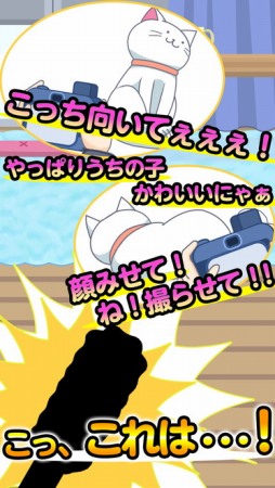 ꡼ No.002Υͥ / ǭ򤸤餷Ƽ̿򻣤Androidץ֤ͤ餻̡פۿ