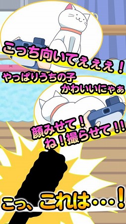 画像ギャラリー No.002のサムネイル画像 / 「ねこじゃらせぬ!」がAmazon Androidアプリストアで配信スタート