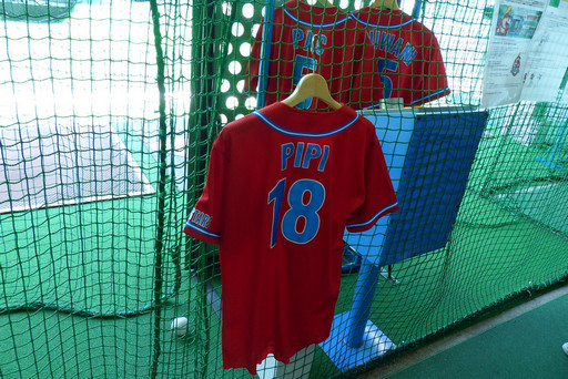 ���������꡼ No.015�Υ���ͥ������ / ���ʡ�̤������ĥȥ饤�����Ȥ˥����󥸡��֥ե��ߥ����Хåƥ��󥰥��󥿡� �ʥॳ�����������ĥȥ饤������in Akiba�׳��񼰤��ݡ���