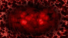 ꡼ No.001Υͥ / PS VitaǡͦԻहפκǿ󤬸ɤ᤭Ӥ롤ॷƥʪΰ餫