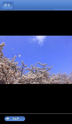 ´�ȼ������æ�� -Fake Social Network-