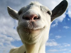 ヤギシムこと「Goat Simulator」のPS4/PS3版が欧米で配信開始