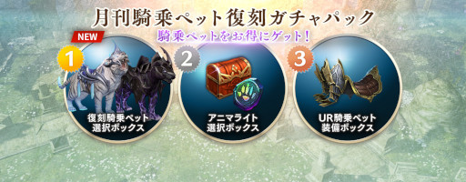 画像ギャラリー No.004のサムネイル画像 / 「リネージュ2 レボリューション」“新年記念クイズショー”など様々なイベントが開催