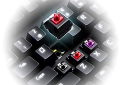 ꡼ No.005 | åΤ桼򴹲ǽʥޡᥫ˥륭ܡɤо졣EpicGear