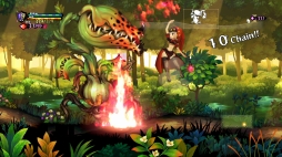 ꡼ No.030 | ˥饦ëᡤϺᥤ󥿥ӥ塼ޥեĤ֥ǥ󥹥ե 쥤饷פ̥ϤˤĤʹ