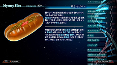 ꡼ No.044Υͥ / ˥饦κǿֽʼɱҷס13ͤ͸ξ󤬸ԡסԡסֵԡפʬ줿ॷƥξܺ٤