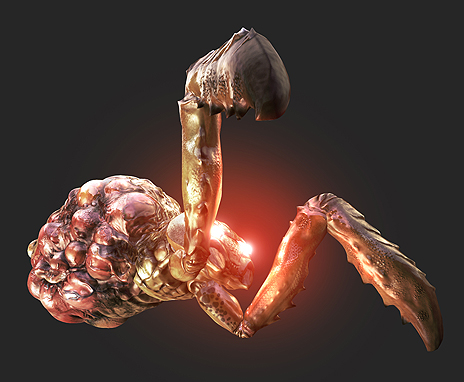 ꡼ No.007 | Devil's Third Onlineפ˥Ƥοޥåסֵȸפȥåפ緿ܥиޥå