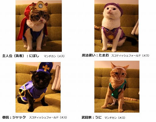 ꡼ No.001 | ɥסǭͦԤʱWebࡼӡ222ǭ˸