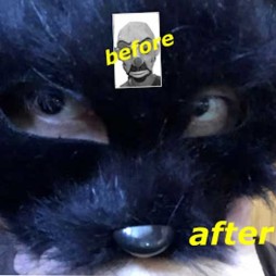 ���������꡼ No.004�Υ���ͥ������ / �����Υɥ饴�󥯥����ȡס�5��ǯ��ǰ�������������ꡣ��1���10��10��18��00���ۿ�