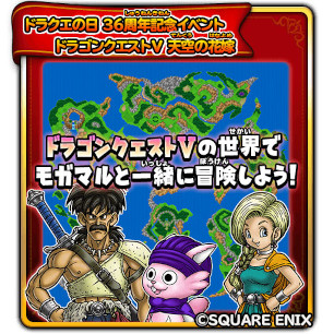 ꡼ No.003 | Υɥ饴󥯥ȡסȥɥ饴󥯥V ŷβֲǡɤΥ٥Ȥ򳫻