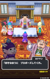 ꡼ No.005 | Υɥ饴󥯥ȡסȥɥ饴󥯥V ŷβֲǡɤΥ٥Ȥ򳫻