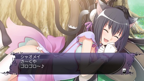 ꡼ No.007 | ֥֥졼ɥ from 㥤˥EXס쥤CVݻϯˤȥ㥪ᥤCVƣ¡ˤΥȡ꡼󤬸