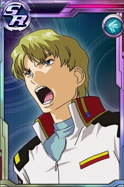 ꡼ No.013 | ֥ॳ󥯥VסSRиΨ2ܤΡȸǤλɵҥɤо