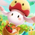 �ѥå�����