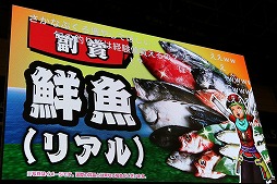 ꡼ No.014 | ֥ɥ饴󥯥Xפ緿åץǡȡVersion 3.4פκǿ󤬸줿֥ץե2017פΥơ٥Ȥݡ