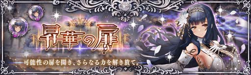 ꡼ No.009 | ־ȥɥ饴סȹϡΥ륱ߥȡо졣˨ݱⳫ