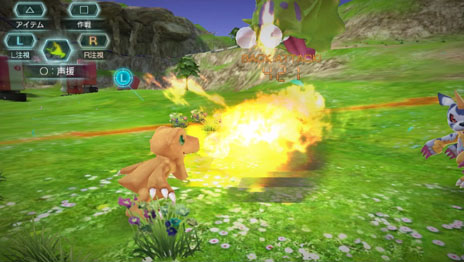 ꡼ No.007Υͥ / ֥ǥ -next 0rder-פо쥭饯ʥҥޥפξ󤬸