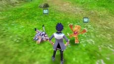 ꡼ No.007 | ֥ǥ -next 0rder-פνŵ̤ʥ֥ΥǥޡפȤäץ쥤ư褬