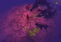 ꡼ No.005 | ֥ʥ륷ƥ3סʬƥߥå䥳塼