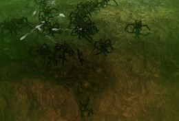 ꡼ No.006 | ֥ʥ륷ƥ3סʬƥߥå䥳塼