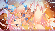 ꡼ No.014 | ֥ᥬӥ󥹡פNEW˥2ͤ󥸥ǽ֥ѥġס֥֥פ䡤ϥƥʡPTAɥƥξ