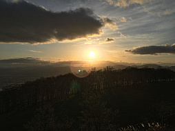 ꡼ No.005 | ޥեĤ󼡸褤329ֺǹθǳԤ˻פڤ륲९ꥨȥ饤Ⱦȡ