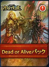 ꡼ No.001 | ֥륹ȥ饤סҥ塼ޥȥǥåɤо줹Dead or Aliveѥå䳫