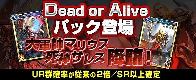 ꡼ No.003 | ֥륹ȥ饤סҥ塼ޥȥǥåɤо줹Dead or Aliveѥå䳫