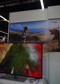 ꡼ No.001Υͥ / gamescomϥѥ륯Ȥƨ롣;λΥץɷDie Youngפ