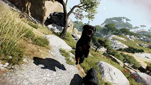 ꡼ No.007 | ꡼ǸΥХХۥ顼Die Youngפˡʥꥢɲä륳ƥġHolm Oak Thicketפо