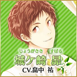 ꡼ No.008 | ̴㥹ȡסʥɼ緿Ͽ