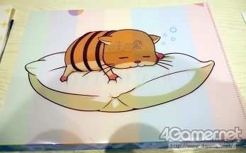 ���������꡼ No.003�Υ���ͥ������ / ���㥹����·���Υ饦�󥸤�ɬ���� ��̴�����㥹�ȡס߽��ո�BAY HOTEL�Υ���ܥ롼���ե��ȥ�ݡ���