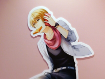 ���������꡼ No.006�Υ���ͥ������ / ���㥹����·���Υ饦�󥸤�ɬ���� ��̴�����㥹�ȡס߽��ո�BAY HOTEL�Υ���ܥ롼���ե��ȥ�ݡ���