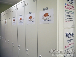 ���������꡼ No.008�Υ���ͥ������ / ���㥹����·���Υ饦�󥸤�ɬ���� ��̴�����㥹�ȡס߽��ո�BAY HOTEL�Υ���ܥ롼���ե��ȥ�ݡ���