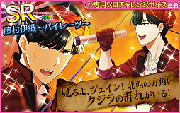 ꡼ No.008 | ̴㥹ȡס󥳡󳤤Υץ쥢ǥס87곫