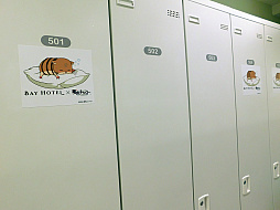 ���������꡼ No.008�Υ���ͥ������ / ��̴�����㥹�ȡס߽��ո�BAY HOTEL����ܤ�ե��ȥ�ݡ��ȡ����㥹�Ȥ����Ȳᤴ���˾�ΤҤȤȤ����θ����褦