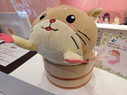 ���������꡼ No.009�Υ���ͥ������ / ��̴�����㥹�ȡס߽��ո�BAY HOTEL����ܤ�ե��ȥ�ݡ��ȡ����㥹�Ȥ����Ȳᤴ���˾�ΤҤȤȤ����θ����褦