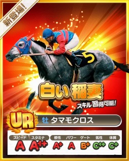 ꡼ No.006 | ֥ӡɡ40DLˡDR10ץ쥼