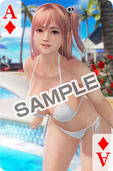 ���������꡼ No.005�Υ���ͥ������ / ��DEAD OR ALIVE Xtreme 3�ס����쥯���������ǥ������/�Ƕ��ѥå�����Ʊ�������ƥ�Υǥ����������3D�ޥ����ѥåɤ��Ĥ�߶������餫��