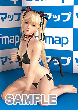 ���������꡼ No.002�Υ���ͥ������ / ��DEAD OR ALIVE Xtreme 3��ŹƬ�θ��񤬡������3��17���ˡ�����3��21���˳��š��ޥ꡼�ȤۤΤ��򤢤���ä��ݥ��ȥ����ɤ����ۤ���