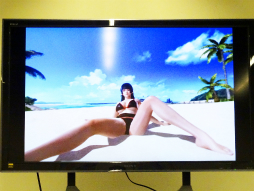 ꡼ No.010 | ܤ˸νλҤ˥ɥáפ鷺ɡβӤƤޤDEAD OR ALIVE Xtreme 3פVR⡼θݡ
